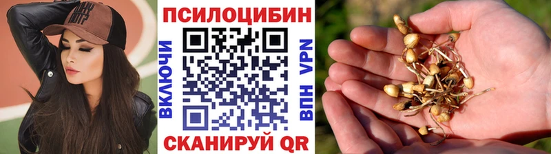 Галлюциногенные грибы Magic Shrooms  Купить закладки  Миллерово 
